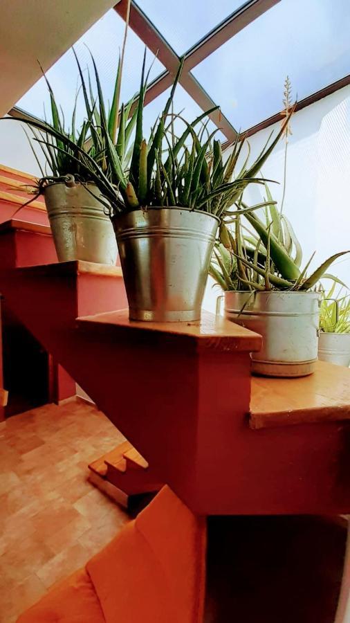 Zelena Kuca- Green House Лижнян Экстерьер фото